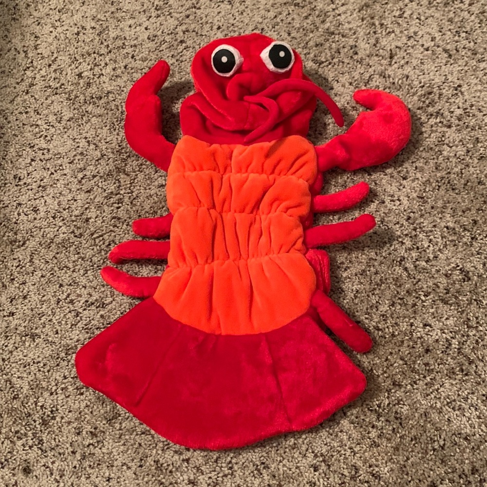 *4 for $20* Pup Crew, pet lobster costume 🦞❤️